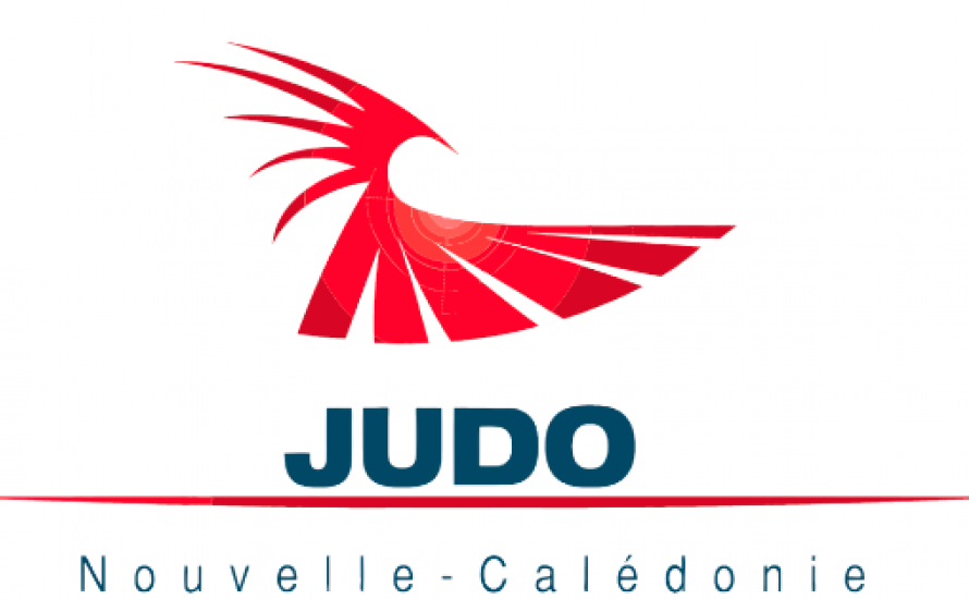 APPEL A CANDIDATURES - Nouvelle Mandature 2025/2027
